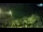 Webcam in Brijuni, 10.5 km entfernt