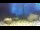 Webcam in Brijuni, 4.2 mi away