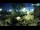 Webcam in Brijuni, 19 km