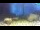 Webcam in Brijuni, 9.7 km entfernt
