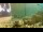 Webcam in Brijuni, 3.7 mi away