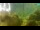 Webcam in Brijuni, 19 km