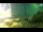 Webcam in Brijuni, 14.2 km entfernt