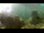Webcam in Brijuni, 22.5 km