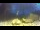 Webcam in Brijuni, 14.6 km entfernt