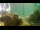 Webcam in Brijuni, 22.5 km