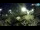 Webcam in Brijuni, 5.3 mi away