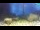 Webcam in Brijuni, 9.8 km entfernt