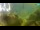 Webcam in Brijuni, 5.6 mi away