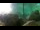 Webcam in Brijuni, 8.7 mi away