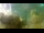 Webcam in Brijuni, 13.8 km