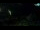 Webcam in Brijuni, 8.7 mi away