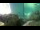 Webcam in Brijuni, 3.7 mi away