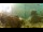 Webcam in Brijuni, 22.7 km entfernt
