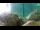 Webcam in Brijuni, 5.6 mi away