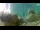 Webcam in Brijuni, 19 km