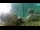 Webcam in Brijuni, 5.3 mi away