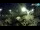 Webcam in Brijuni, 22.5 km