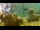 Webcam in Brijuni, 5.3 mi away