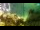Webcam in Brijuni, 9.7 km entfernt