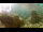 Webcam in Brijuni, 16.1 km entfernt