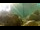 Webcam in Brijuni, 19.9 km