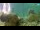 Webcam in Brijuni, 3.8 mi away
