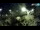 Webcam in Brijuni, 10.7 km