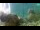 Webcam in Brijuni, 9.8 km entfernt