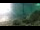 Webcam in Brijuni, 10.8 km