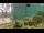 Webcam in Brijuni, 9.8 km
