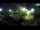 Webcam in Brijuni, 7.3 mi away