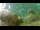 Webcam in Brijuni, 19.9 km