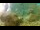 Webcam in Brijuni, 19.9 km