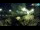 Webcam in Brijuni, 9.8 km