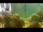 Webcam in Brijuni, 13.8 km