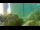 Webcam in Brijuni, 10.8 km entfernt