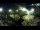 Webcam in Brijuni, 5.3 mi away