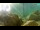 Webcam in Brijuni, 12.4 km entfernt