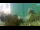 Webcam in Brijuni, 16.1 km