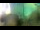 Webcam in Brijuni, 5.6 mi away