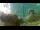 Webcam in Brijuni, 9.7 km