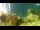 Webcam in Brijuni, 6.5 km