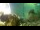 Webcam in Brijuni, 9.7 km