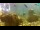 Webcam in Brijuni, 16.1 km