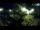 Webcam in Brijuni, 4.8 mi away