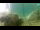 Webcam in Brijuni, 5.3 mi away