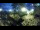 Webcam in Brijuni, 7.3 mi away