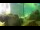 Webcam in Brijuni, 9.4 km