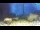 Webcam in Brijuni, 55.7 km